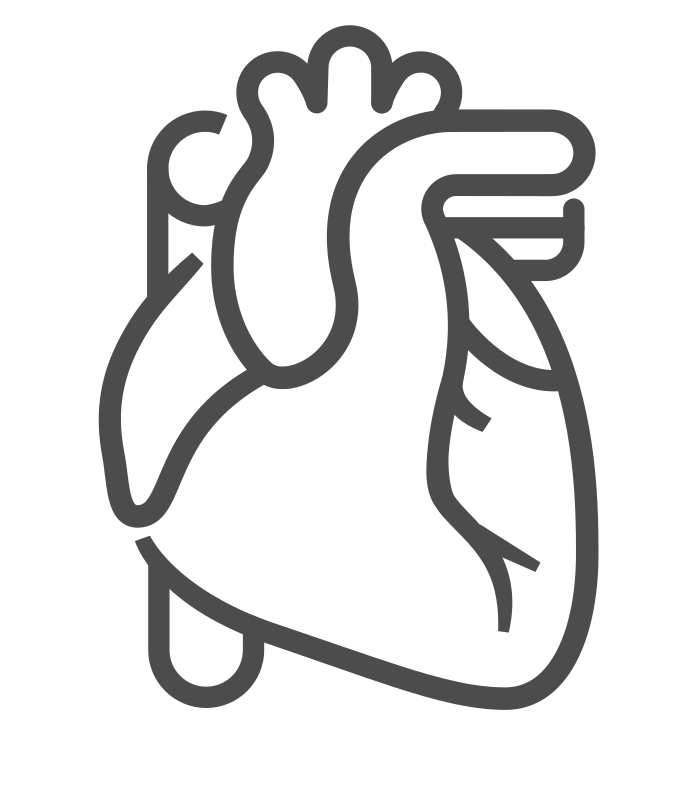 cardiovascular icon