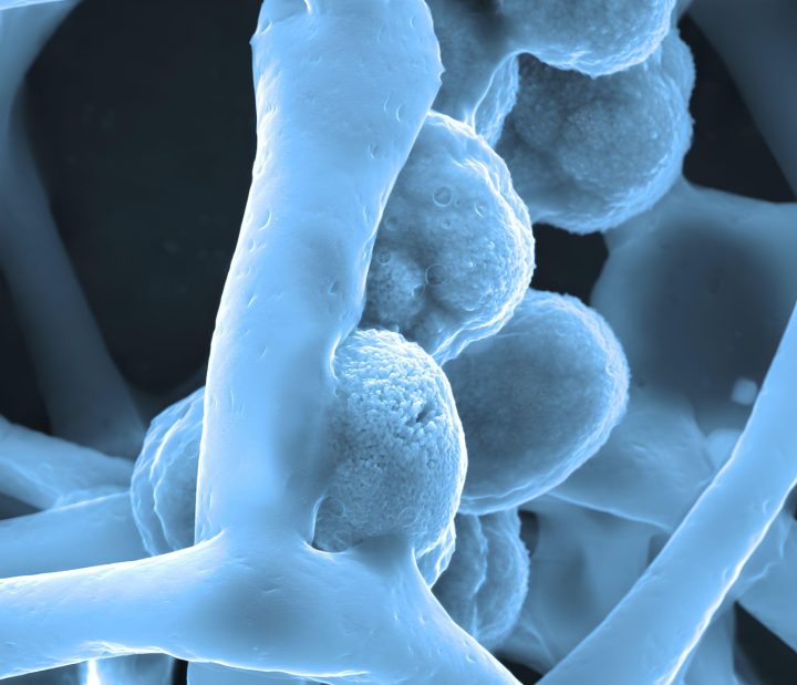 Biochemical illustration.