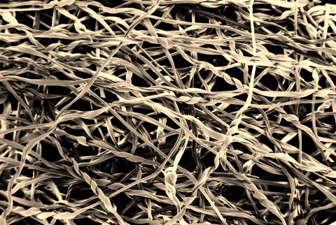 Biochemical illustration.