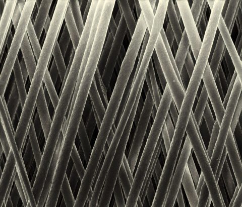 Biomechanical properties.