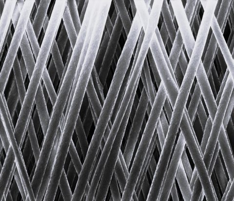 microscope image of nanofibers made by electrospinning