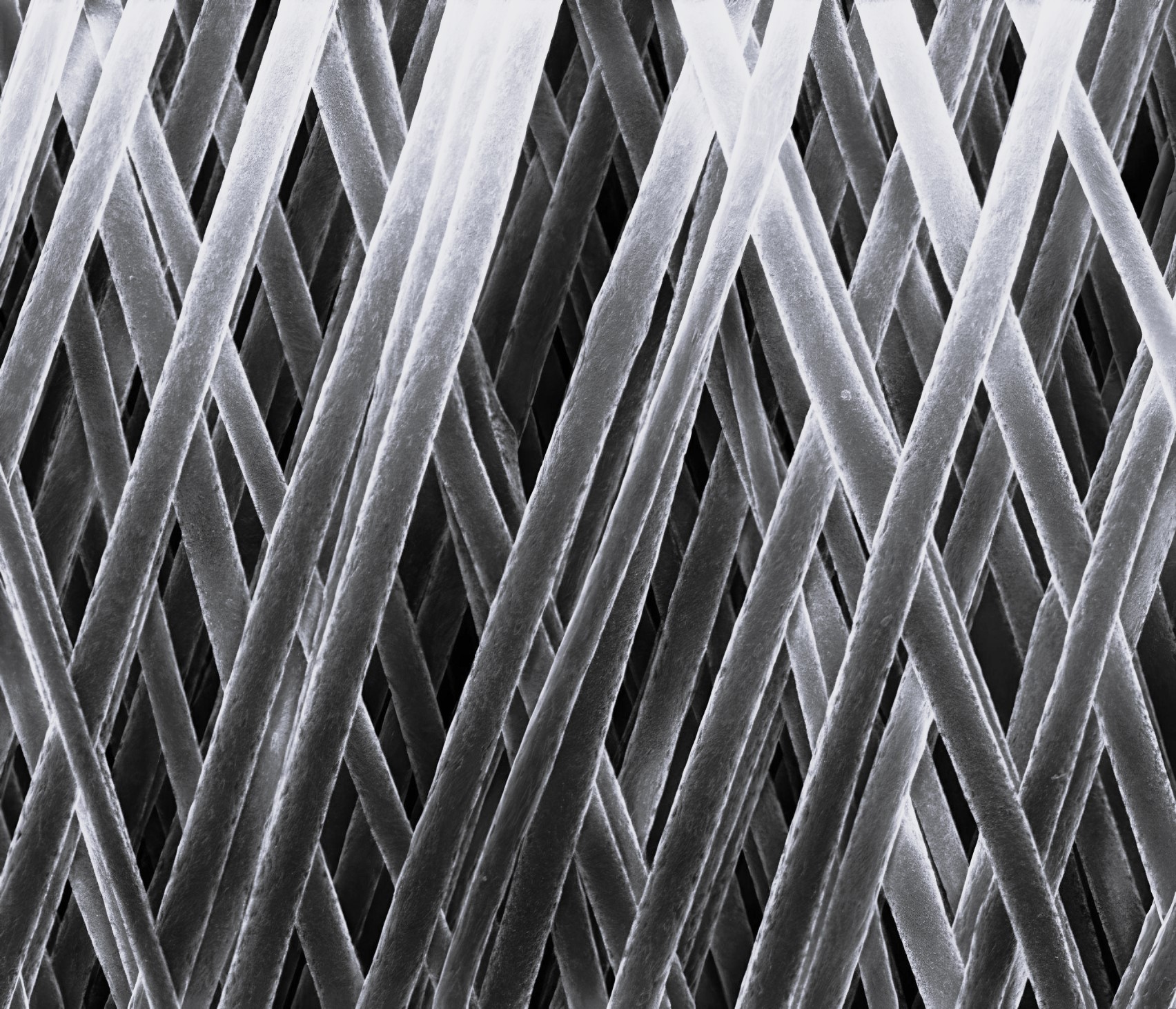 microscope image of nanofibers made by electrospinning