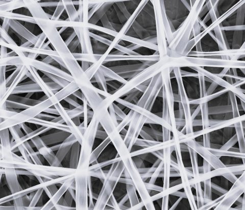 microscope image of nanofibers made by electrospinning